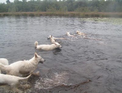 Familiedag 2005